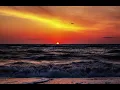 Dylan Scott - Good Times Go By Too Fast (Lyrics)