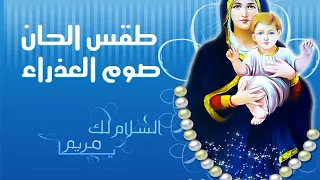 ذيفتى بانديس دندنها