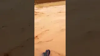 ريماز صوت جميل أغنية قلبك حجر ما لان 