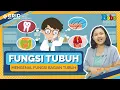 Download Lagu Mengenal Fungsi Bagian Tubuh Kita -Fakta Menarik