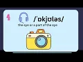 Spelling Bee Quiz 35 Questions Intermediate Level Hard Words Can you get a Perfect Score