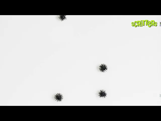 files/preview_images/hqdefault_849ce868-9e12-4ddb-acb4-c340c1681191.jpg
