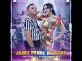 JAMU PEGEL MLARAT (feat. Danar Nakasura) [Maraszona]