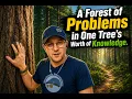 A Forest of Problems in One Tree s Worth of Knowledge