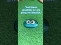 Download Lagu When my pet rock wants attention 🥺#shorts #petrock #cute