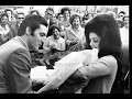 Priscilla Presley - Wikipedia article