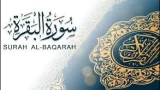 الصفحة   من سورة البقرة بصوت الشيخ ياسر الدوسري دندنها