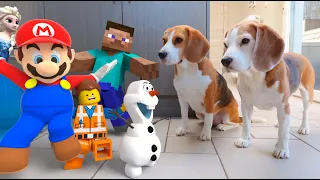 TOP 500 Animation in Real Life vs Dogs | LEGO - Minecraft - Mario and More!