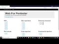 Web For Pentester PentesterLab XSS Example 4