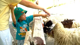 Đi chơi sở thú vui nhộn - Nhạc thiếu nhi chủ nhật em đi công viên sôi động