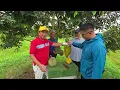 Lagu REVIEW DURIAN KEBUN RB SUBANG,DG PAK MUL