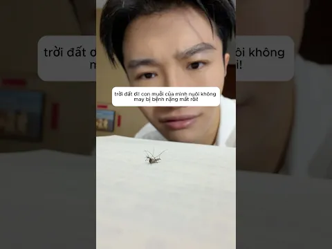 Anh trai nuôi con muỗi thông minh