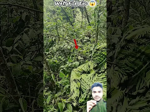 #edit