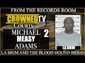Micheal Adams testifies about La Brim s power in the Blood Hound Brims blood set