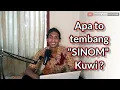 Download Lagu Apa itu TEMBANG SINOM?
