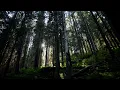 Music from the World of Osho - Sacred World