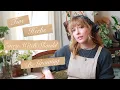 The Five Kitchen Herbs Every Witch Should Be Growing and Why