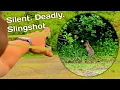 Download Lagu Slingshot Hunting – From Frustration to Perfection