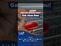 Download Lagu PAKAI ALAT INI AGAR KOTORAN AYAM KERING