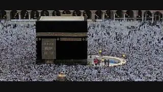 جابر العزب يا فاطمه Abdwap2 Com 