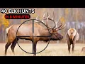 Download Lagu 40 ELK HUNTS IN 8 MINUTES (Rifle And Archery Hunting) ULTIMATE ELK HUNTING COMPILATION