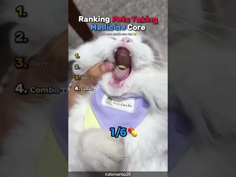 Ranking Pets Taking Medicine Core🤒 #usa
