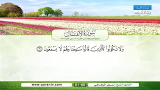 سورة الأنفال تلاوة مباركة من الآية 17 إلى الآية 25 بصوت القارئ الشيخ نبيل الرفاعي 