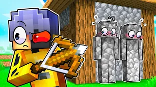 Minecraft but you can PAINT YOURSELF!