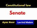 Senate Constitutional Law Ayaz Noor