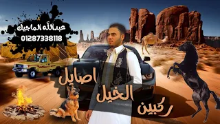 مهرجان   ركبين الخيل اصايل   حق الله ان اللي غابوا   مهرجانات بدوية جديده دندنها