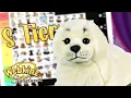 Ranking Every Webkinz Signature Ever Made