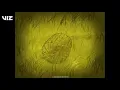 Naruto | Ending 1 - Wind | VIZ