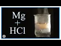 Magnesium Metal vs Hydrochloric Acid Who wins