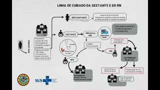 Saúde das mulheres - Linha do cuidado da gestante e do RN