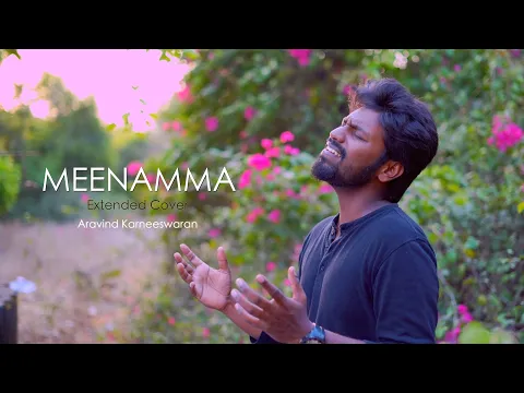 Download MP3 Meenamma Extended cover | Aasai | Aravind Karneeswaran | Deva