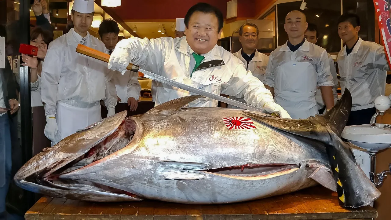 Bluefin Tuna Cutting From Professionals   Very Expensive Japanese Bluefin Tuna
