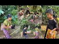 Download Lagu Karenni new video, We go to catch fish at may leh #vegetables #bamboo #camping #camping #wildlife #a