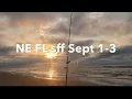NE FL surf fishing forecast
