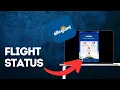 How to check flight status on Allegiant