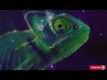 Mai Anna - Chameleon (Lyrics) ft. Chloe George