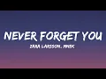 Download Lagu Zara Larsson, MNEK - Never Forget You (Lyrics)
