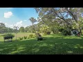CitraBlue St Augustine Puts Shade to the Test