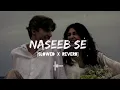 Naseeb Se [Slowed_X_Reverb] | Payal Dev, Vishal Mishra | Alone Soul Lyrics.
