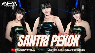 funkot santri pekok viral tiktok cover by dj anezka