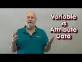 Variable Attribute Decimal Integer
