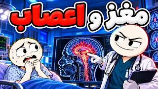                                           دندنها
