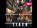 Download Lagu The return of tiger ❤️