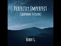 Perfectly Imperfect (Saxophone Version)