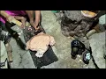 Lagu Batu batu ini membentuk menyerupai hewan dengan sangat realistis 3D alami.. calon2 juara