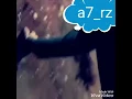 محمد الشحي جنني